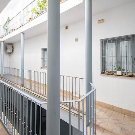 Apartamento Las Lectoras De Cadiz Dış mekan fotoğraf